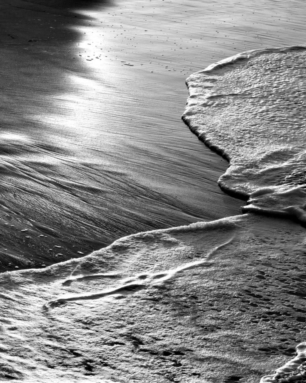 Sea foam sliding over wet sand