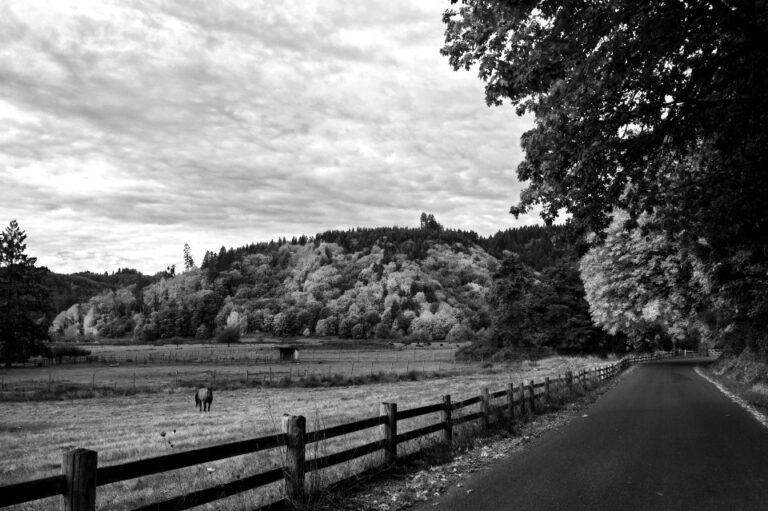 Ten days on the island road